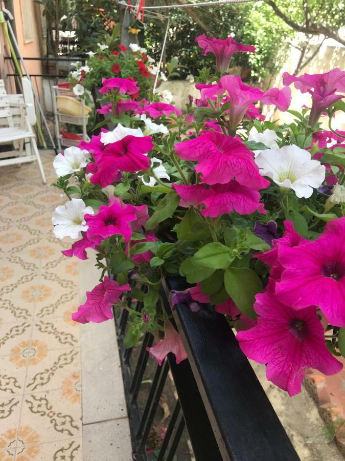 Simple And Very Nice أولبيا المظهر الخارجي الصورة